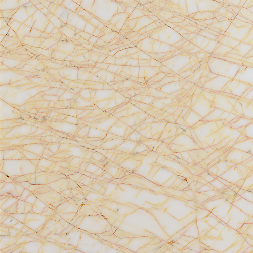 Golden Spider Marble Supplier in India