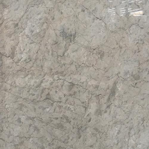 Repen Grey Marble Supplier in India